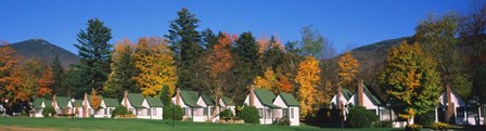 Cottages on a hill, Franconia Notch State Park, White Mountain National Forest, New Hampshire by Panoramic Images art print