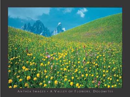 Valley of Flowers, Dolomites art print