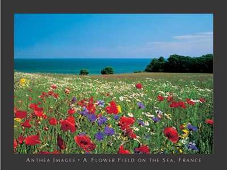 Flower Field on the Sea, France art print