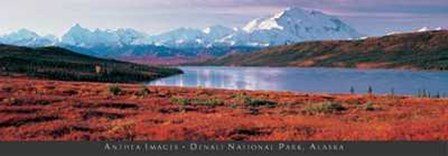 Denali National Park, Alaska art print