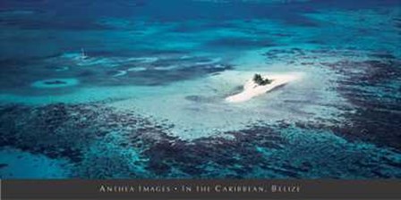 In the Caribbean, Belize art print