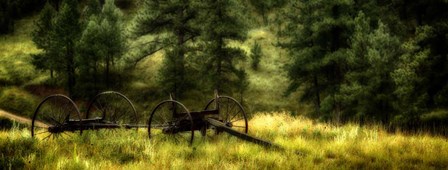Old Wagon in the Black Hills, South Dakota by Panoramic Images art print