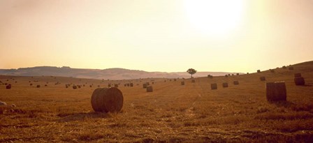 Hay Bales, Tuscany, Italy by Panoramic Images art print