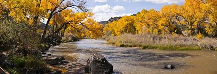 Rio Grande River, Pilar, New Mexico by Panoramic Images art print