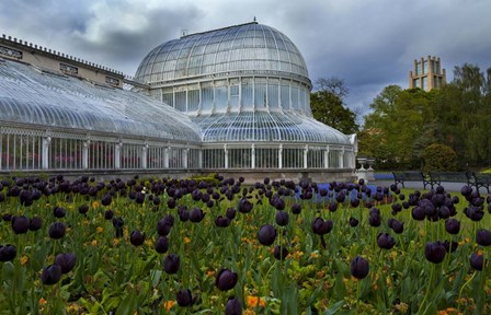 Palm House in the Botanic Gardens, Northern Ireland by Panoramic Images art print