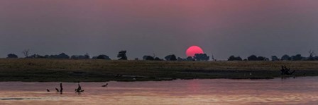 River at Dusk, Chobe River, Botswana by Panoramic Images art print