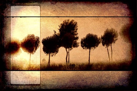 For the Love of Trees I by LightBoxJournal art print