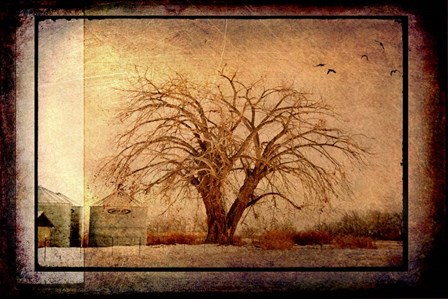 For the Love of Trees IV by LightBoxJournal art print
