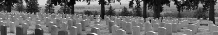 Gravestones, Custer National Cemetery, Montana by Panoramic Images art print