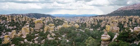 Rhyolite Sculptures, Hailstone Trail, Chiricahua National Monument, Arizona by Panoramic Images art print