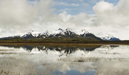 Snowcapped Chugach Mountains in Copper River Delta, Chugach National Forest, Alaska by Panoramic Images art print