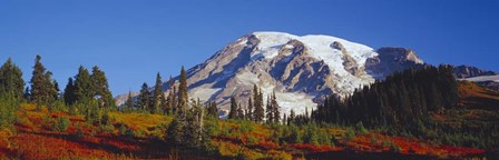 Mt. Rainier and Fall Color, WA by Panoramic Images art print