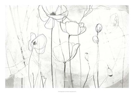 Poppy Sketches I by June Erica Vess art print
