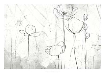 Poppy Sketches II by June Erica Vess art print