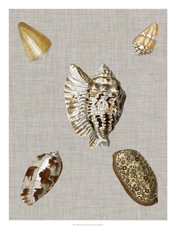Shells on Linen I by Vision Studio art print