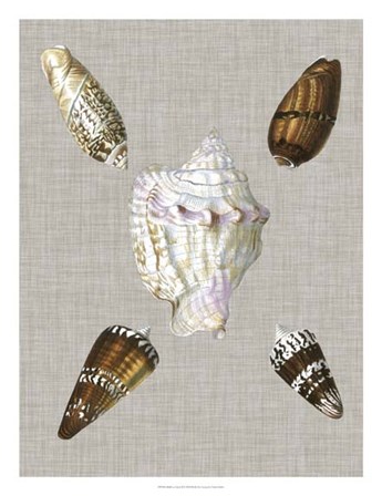 Shells on Linen II by Vision Studio art print