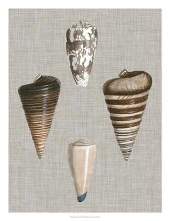 Shells on Linen III by Vision Studio art print