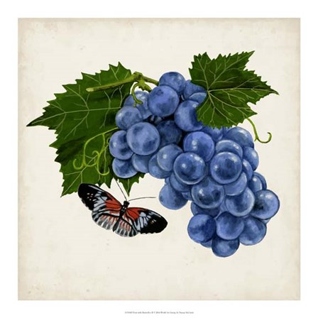Fruit with Butterflies II by Naomi McCavitt art print