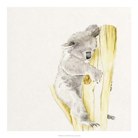 Baby Koala I by Melissa Wang art print