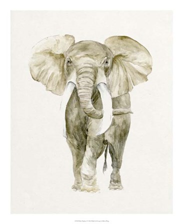Baby Elephant I by Melissa Wang art print