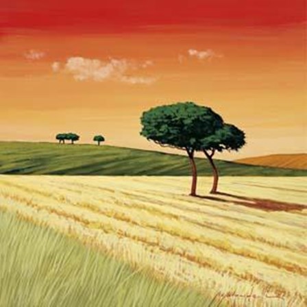 Campo Al Tramonto by Gio Mondelli art print