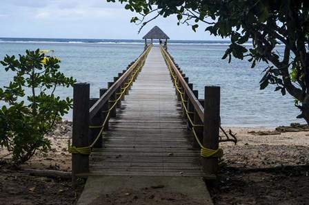 Long wooden pier, Coral Coast, Viti Levu, Fiji, South Pacific by Michael Runkel / DanitaDelimont art print