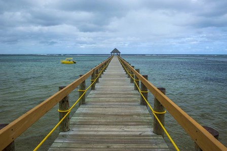 Long wooden pier, Coral Coast, Fiji, South Pacific by Michael Runkel / DanitaDelimont art print