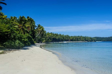 White sand beach and turquoise water, Nanuya Lailai Island, Blue Lagoon, Yasawa, Fiji, South Pacific by Michael Runkel / DanitaDelimont art print