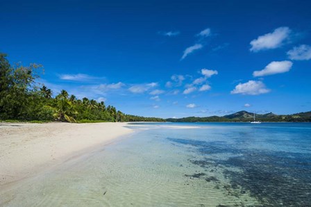 White sand beach and turquoise water, Nanuya Lailai Island, Blue Lagoon, Yasawa, Fiji by Michael Runkel / DanitaDelimont art print