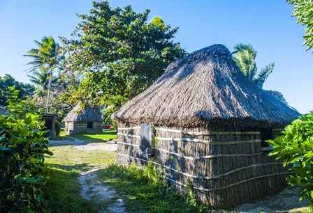 Local thatched hut, Yasawa, Fiji, South Pacific by Michael Runkel / DanitaDelimont art print