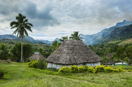 Traditional thatched roofed huts in Navala, Fiji, South Pacific by Michael Runkel / DanitaDelimont art print