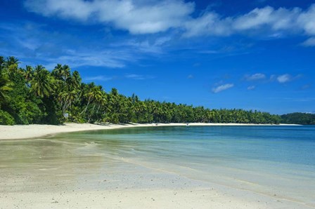 White sand beach and water at the Nanuya Lailai island, the blue lagoon, Yasawa, Fiji, South Pacific by Michael Runkel / DanitaDelimont art print