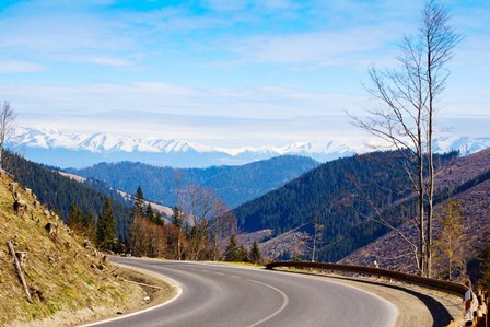 Mountain road in a valley, Tatra Mountains, Slovakia by Panoramic Images art print