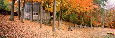 Trees On A Hill, Connecticut by Panoramic Images art print