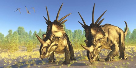 A flock of Pterodactylus fly above two Styracosaurus Dinosaurs by Corey Ford/Stocktrek Images art print