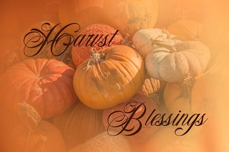Harvest Blessings I by Ramona Murdock art print
