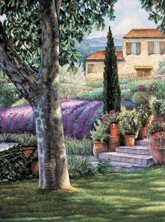 Provence Afternoon I by Elizabeth Wright art print