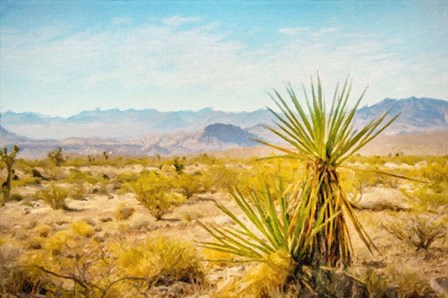 Utah Desert Yucca by Ramona Murdock art print
