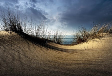 Dunes by Wim Schuurmans art print