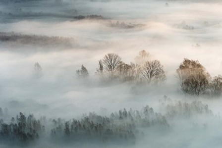 Winter Fog by Marco Galimberti art print