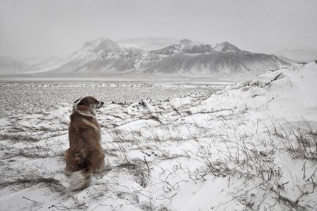 Snowstorm by Bragi Ingibergsson art print