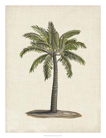 British Palms I by Naomi McCavitt art print