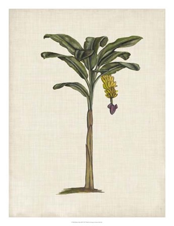 British Palms III by Naomi McCavitt art print
