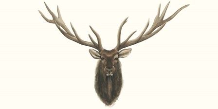 Elk Bust by Grace Popp art print