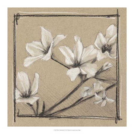 White Floral Study I by Ethan Harper art print