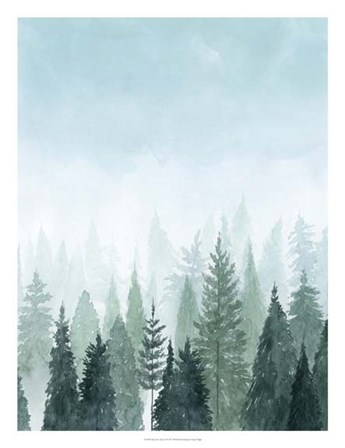 Into the Trees II by Grace Popp art print