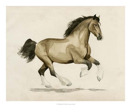 Clydesdale I by Grace Popp art print