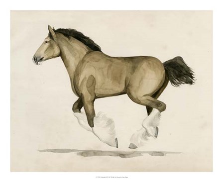 Clydesdale II by Grace Popp art print