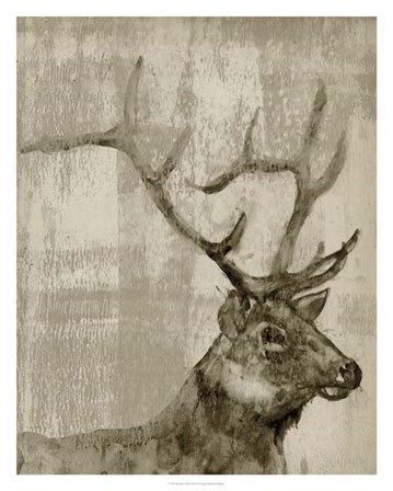 Sepia Elk by Jennifer Goldberger art print