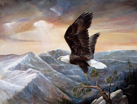 Eagle&#39;s Lair by Ruane Manning art print
